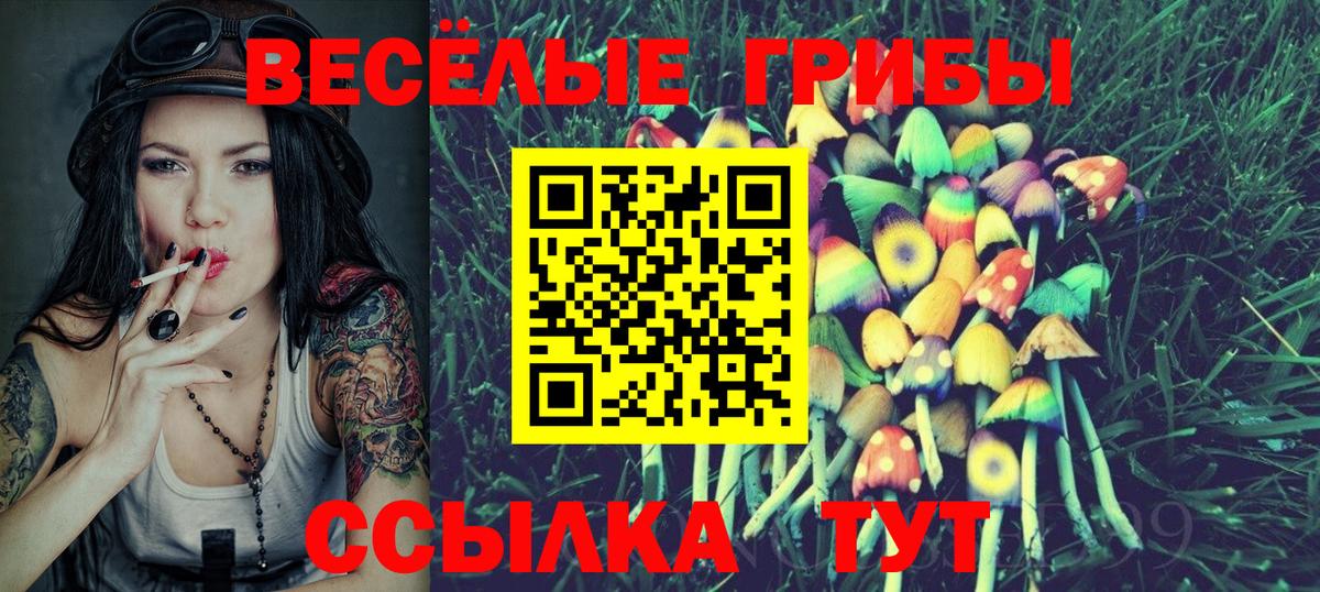 Галлюциногенные грибы GOLDEN TEACHER  Вход с VPN  Псилоцибиновые грибы Cubensis  Краснознаменск 