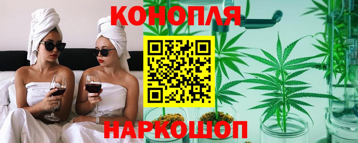 Бошки марихуана OG Kush Краснознаменск
